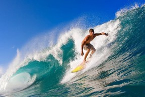 开云官网-历史性决战：冠军宝座争夺白热化